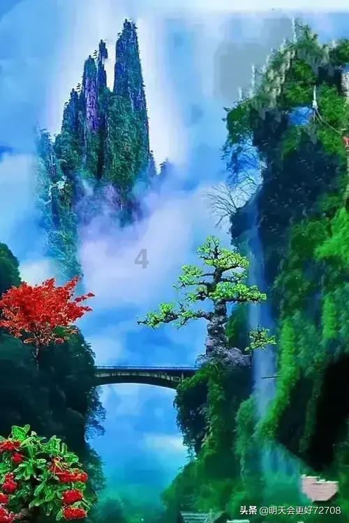 动物帮帮忙保卫家园