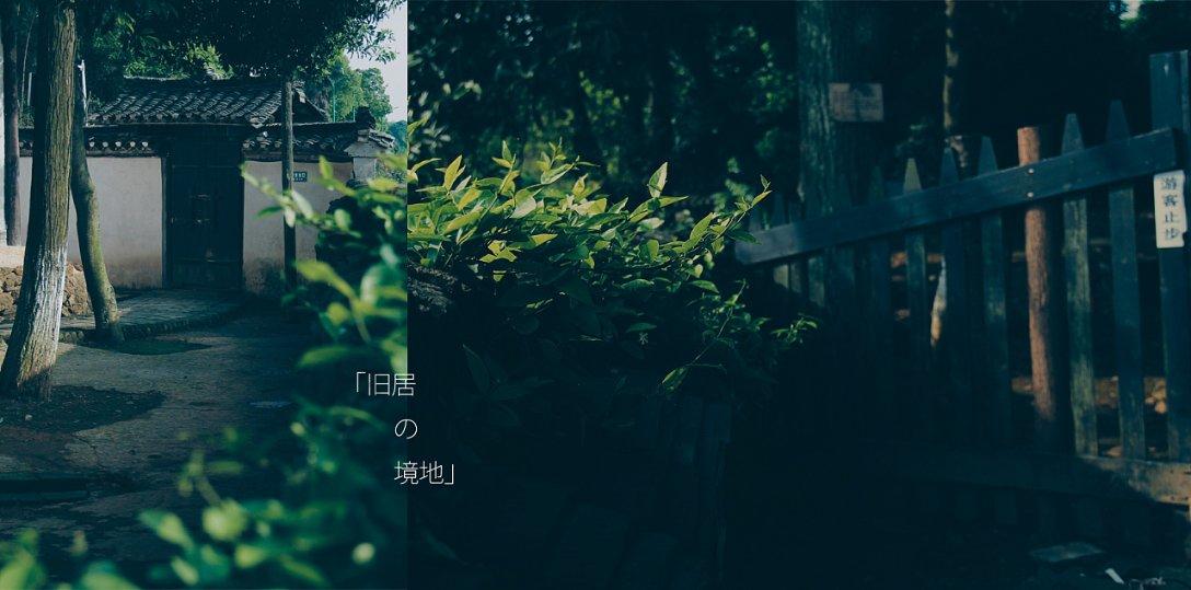 燃烧吧大脑装瓶子游戏