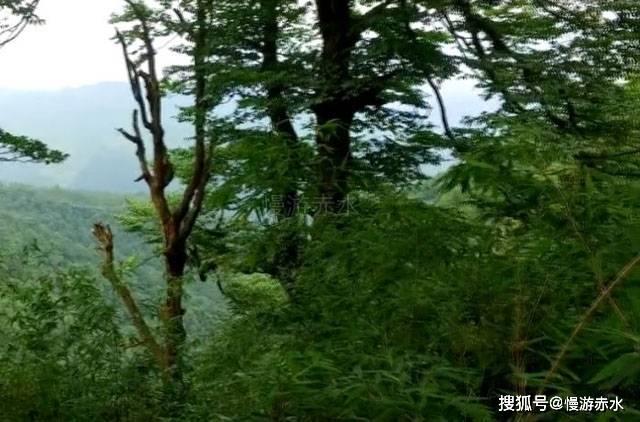 韩媒爆KAKAO搜查SM高层电脑！SM方怀疑其另有企图