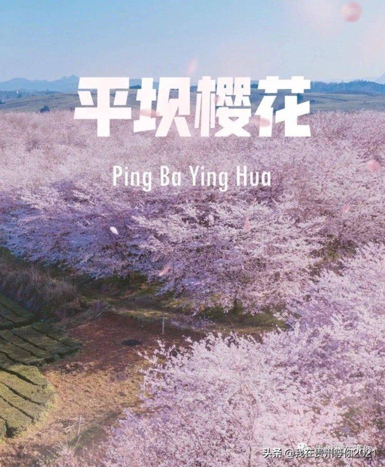 湖南明确81项基本公共服务实施标准