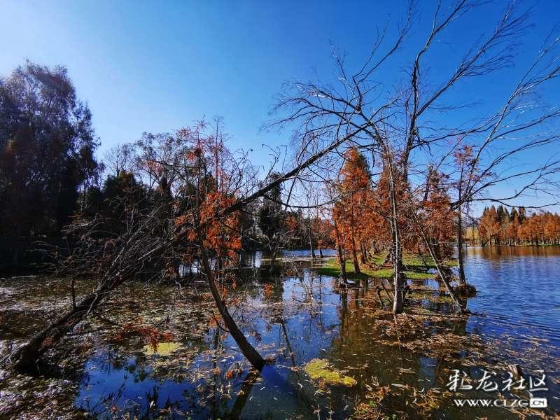 赞皇电商小知识|短视频拍摄须知——分镜头脚本的重要性