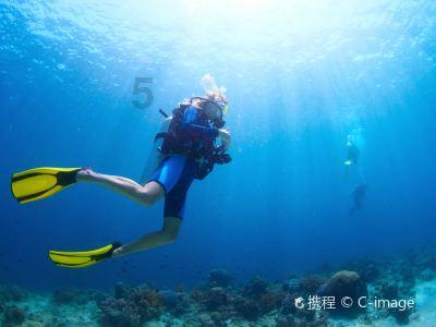 全新宝马i5旅行版预告图曝光