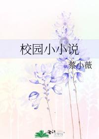 小熊猫足球冒险