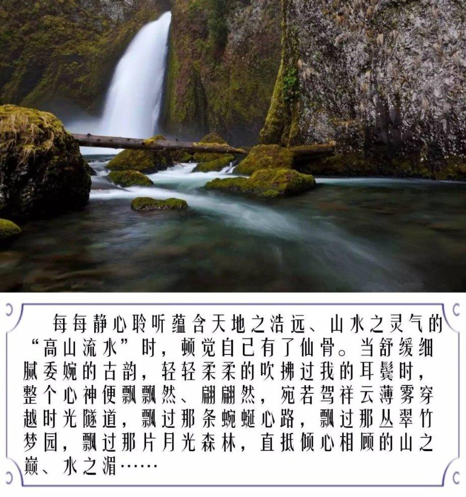 张之臻组合无缘澳网男双决赛