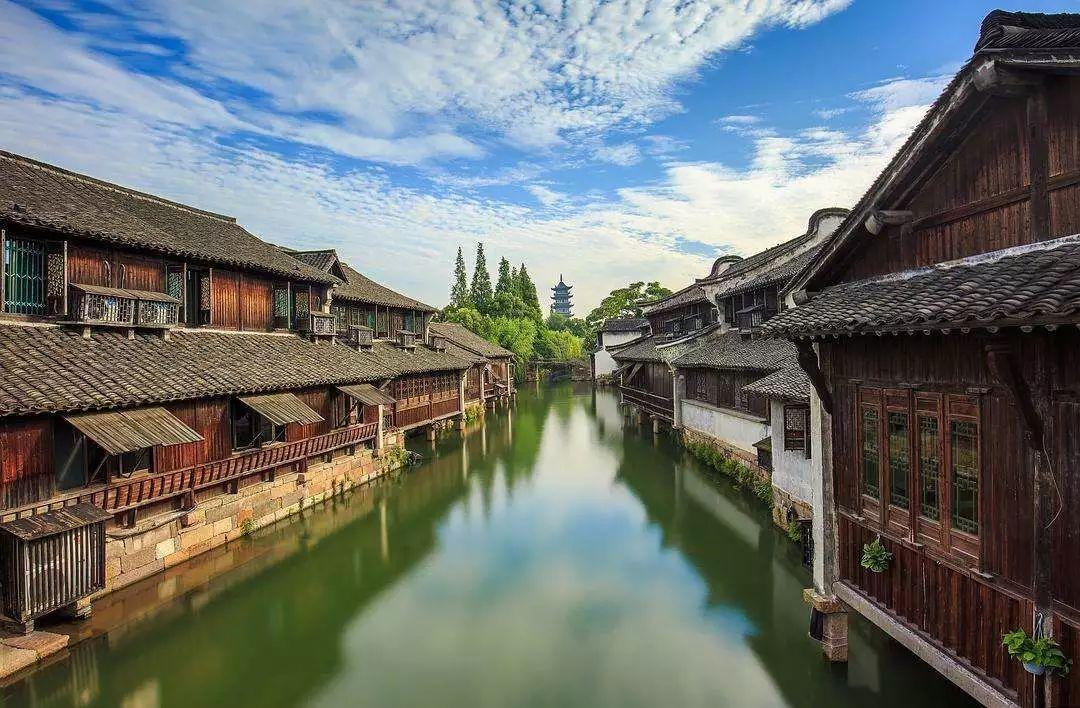 虫虫助手下载