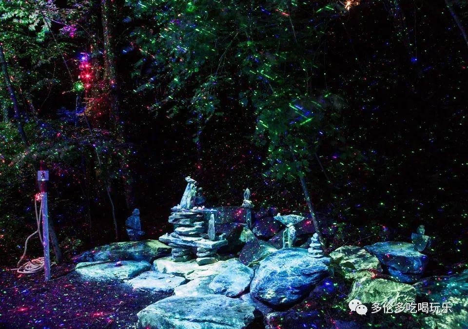生物多样性科普 |甘草